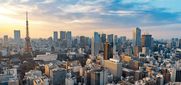 事業内容